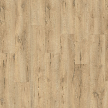 Moduleo Mountain Oak 56275