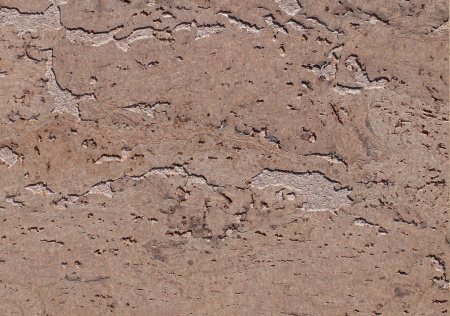 Amorim Wise Stone Art Platinum