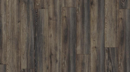 Falquon Canyon Black Oak D3686