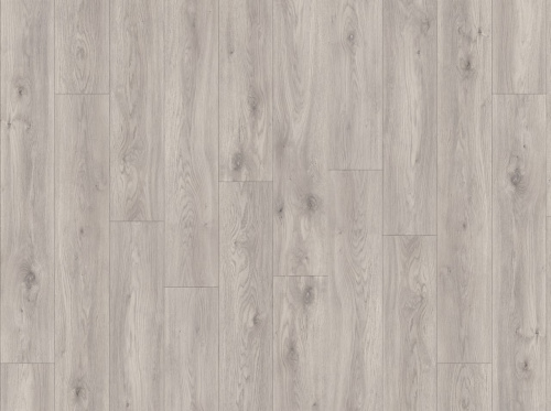 Moduleo Sierra Oak 58936