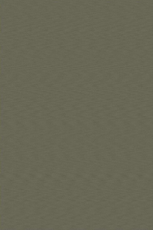 Bolon Sage
