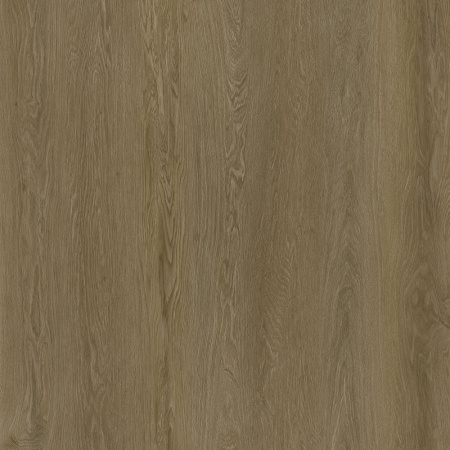 Wicanders CONTEMPORARY OAK MEDIUM