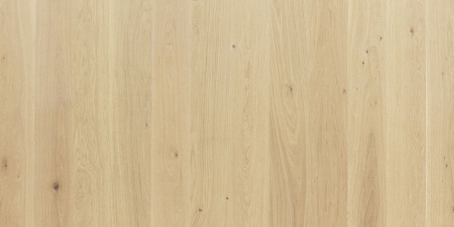 Focus Floor Дуб Calima White без отбора