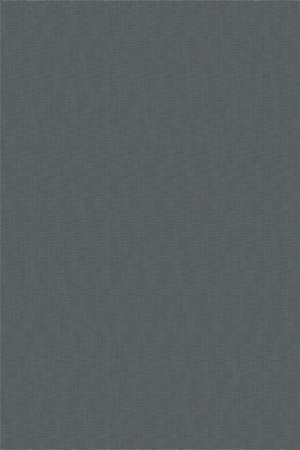 Bolon Illuminate