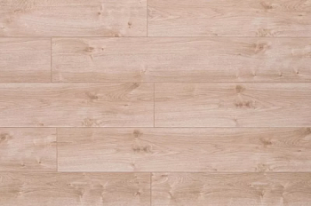 Belfloor BF12-491-UN