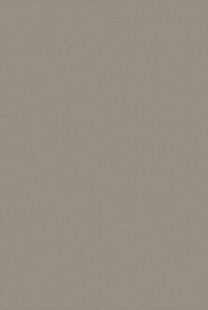 Bolon Champagne