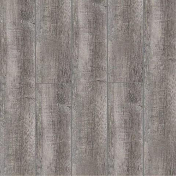 Timber Levens