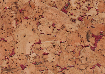 Amorim Wise Hawaii Red
