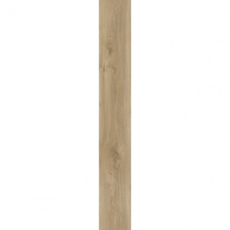 Moduleo Sierra Oak 58847