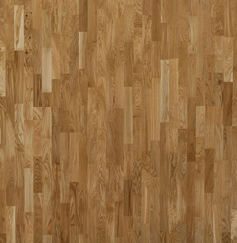 Focus Floor Дуб Глосси без отбора
