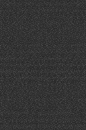 Bolon Texture Black