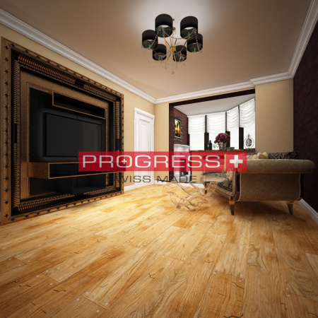 Progress Викинг