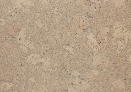 Amorim Wise Personality Champagne
