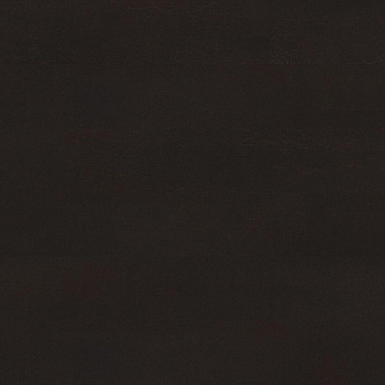Amorim Wise Identity Nightshade