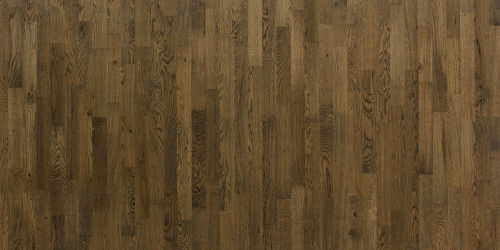 Focus Floor Дуб Santa Ana без отбора