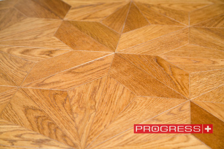 Progress Рютли