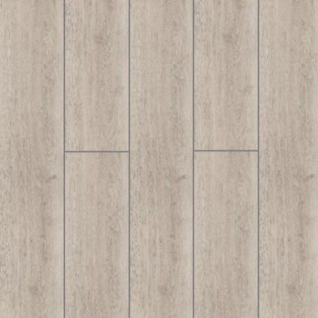Timber Elsdon