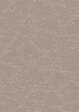 Bolon Texture Beige