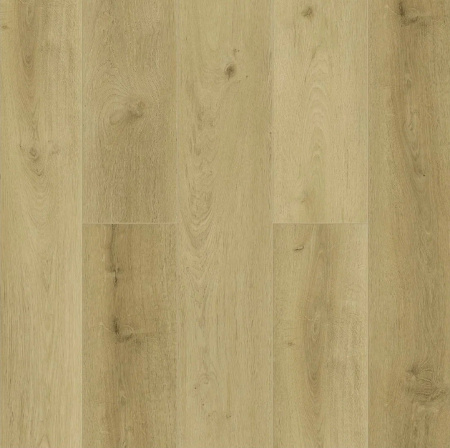 Tulesna Verano Wieland 1002-15