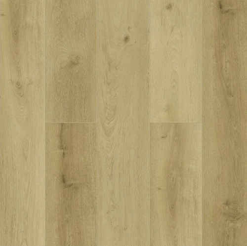 Tulesna Verano Wieland 1002-15