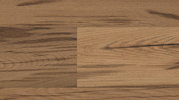Auswood Wild Jungle Oak