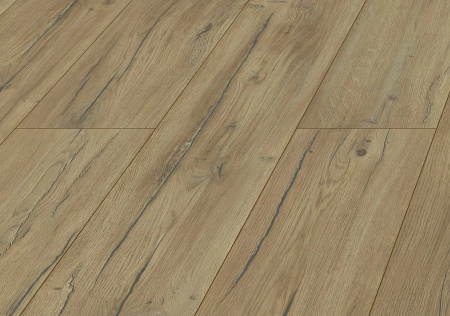 Kronopol Condor Oak D40254