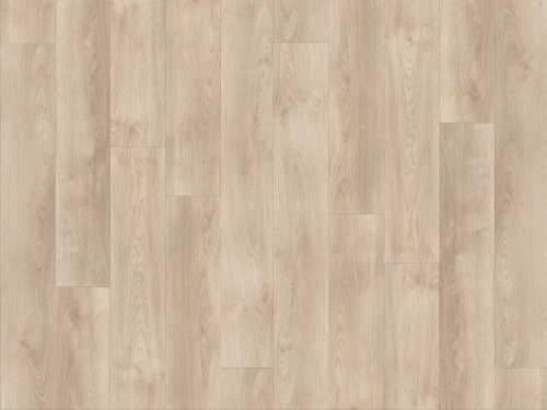 Moduleo Midland Oak 22221