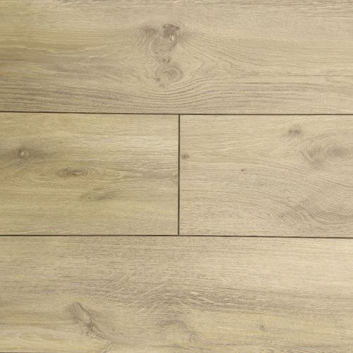 Homflor Distingo Odyssey 705