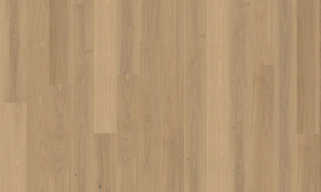 Tilo Дуб Creme L1284