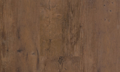 Progress 204 Old Spruce Smoked