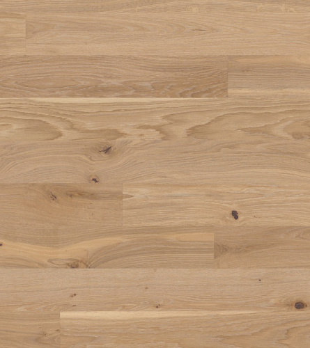 Bauwerk Дуб Avorio 9.5 мм без фаски