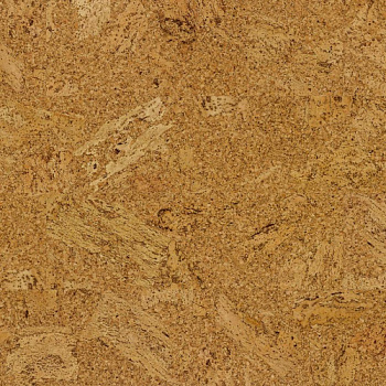 Amorim Wise Originals Accent