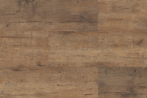 Vinyline Larch Kloten