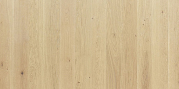 Focus Floor Дуб Calima White без отбора