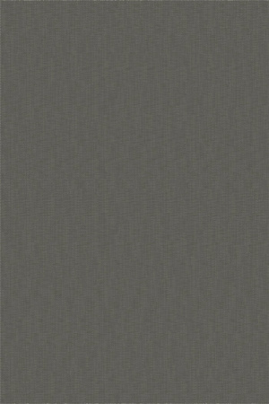 Bolon Ocular
