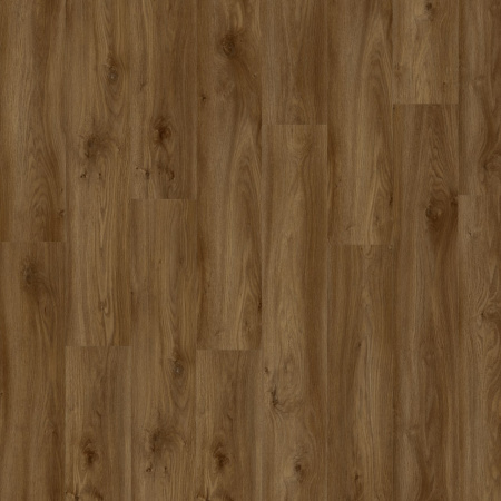 Moduleo Sierra Oak 58876