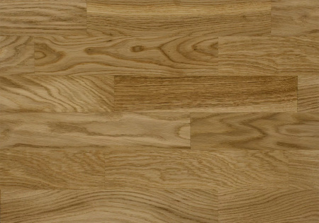 Focus Floor Дуб Глосси без отбора