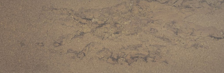 Fomentarino Oceano di Bronzo