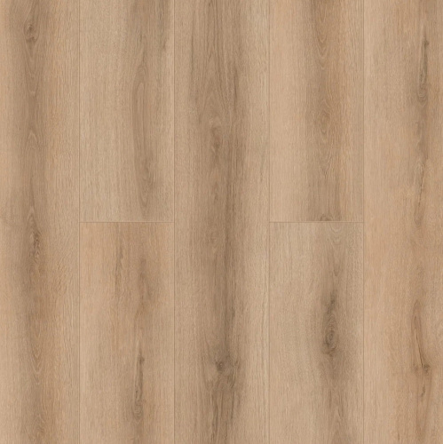 Tulesna Verano Bellone 1002-17