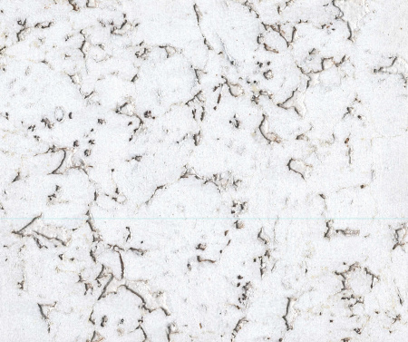 Corksribas Condor Snow